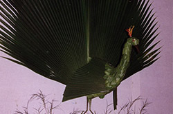 Ideal Stage Decoration