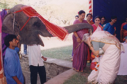 50th Aanniversary of Balmandir